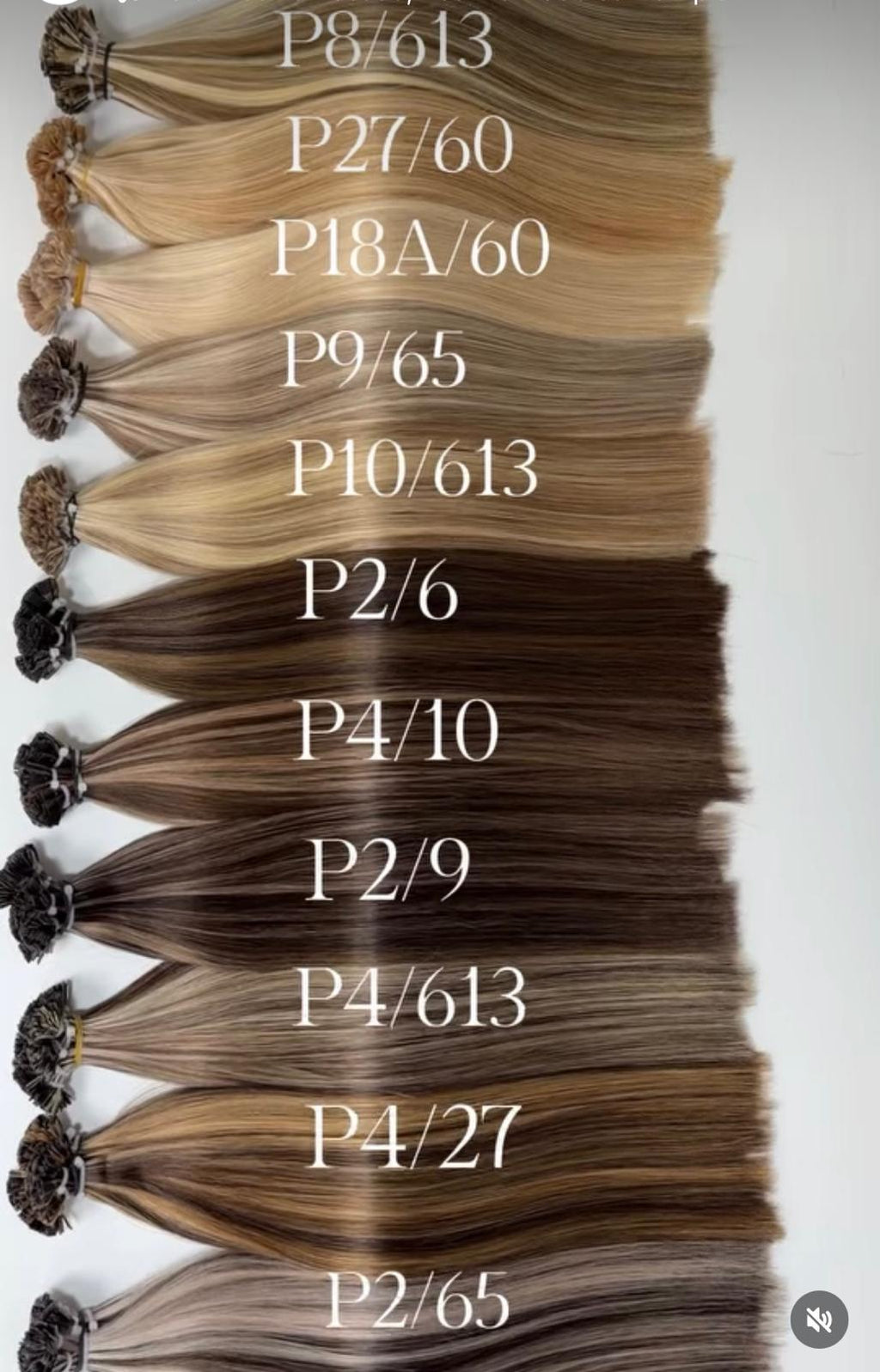 Ponytail / Postiche – Ombré Colors