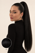 Ponytail Dark nuance #1, modèle et pastille de couleur